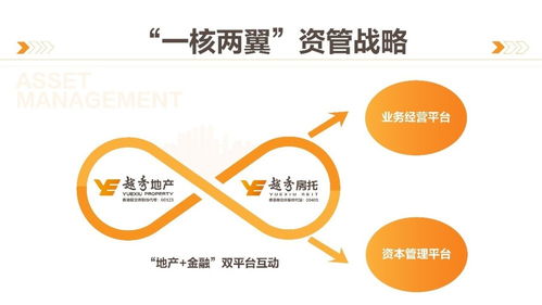 商業(yè)綜合體管理服務(wù) 構(gòu)建高效運(yùn)營與卓越體驗的橋梁